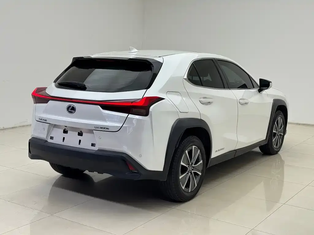 Lexus UX New Energy — фото 5