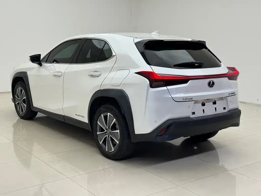 Lexus UX New Energy — фото 6