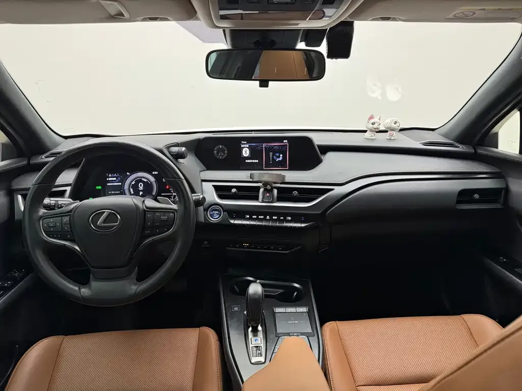 Lexus UX New Energy — фото 9