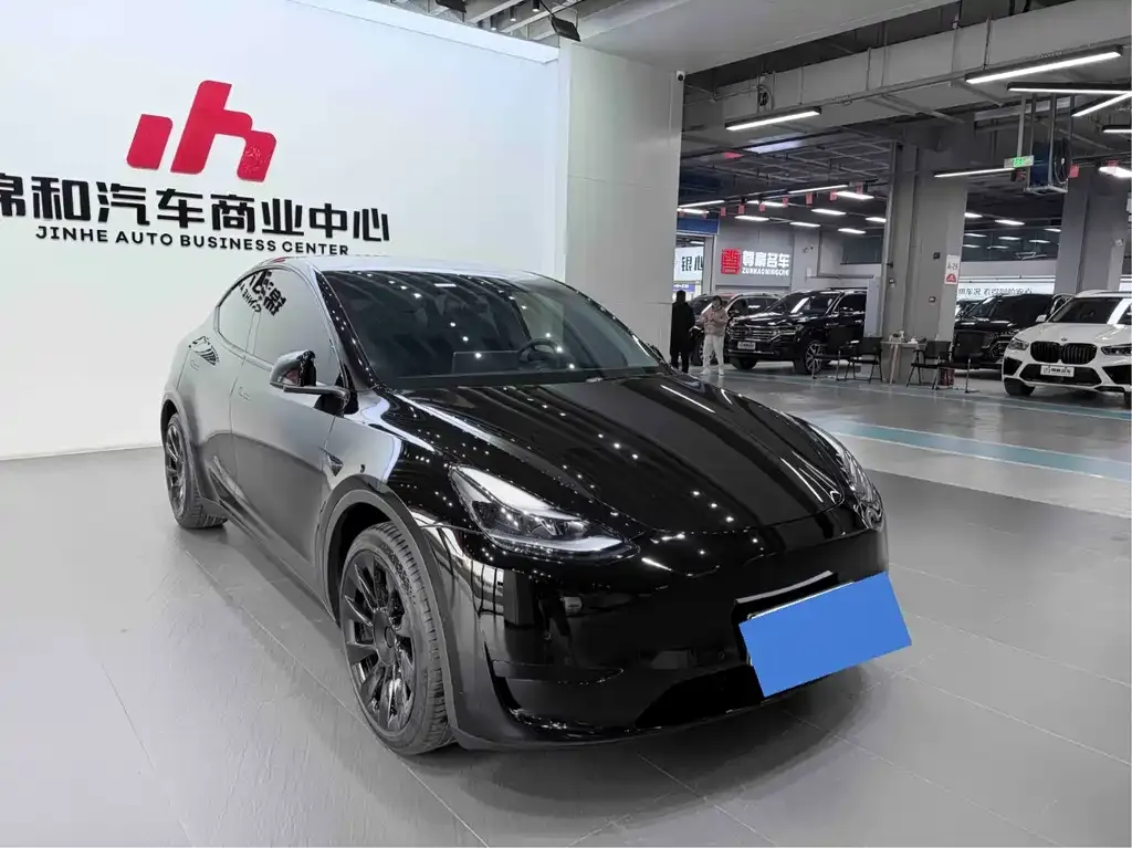 Tesla Model Y 2023 из CN, фото 3