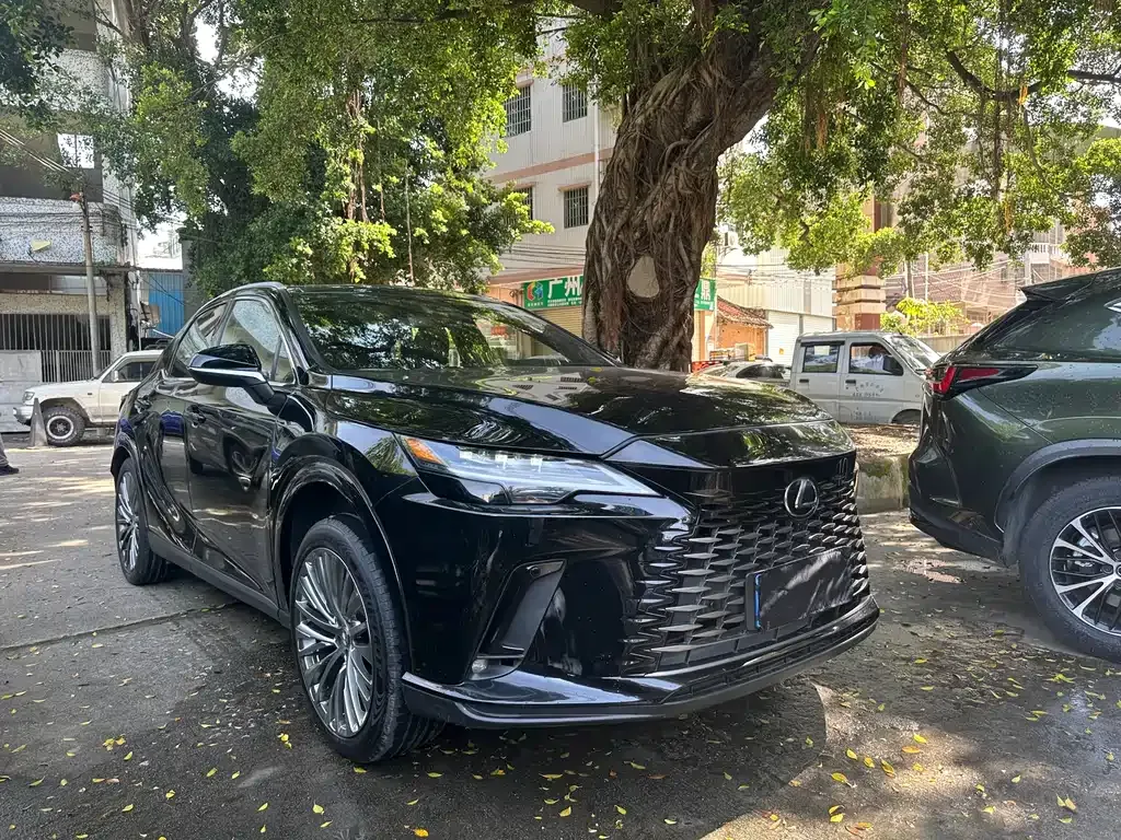 Lexus RX 2024 из CN, фото 1