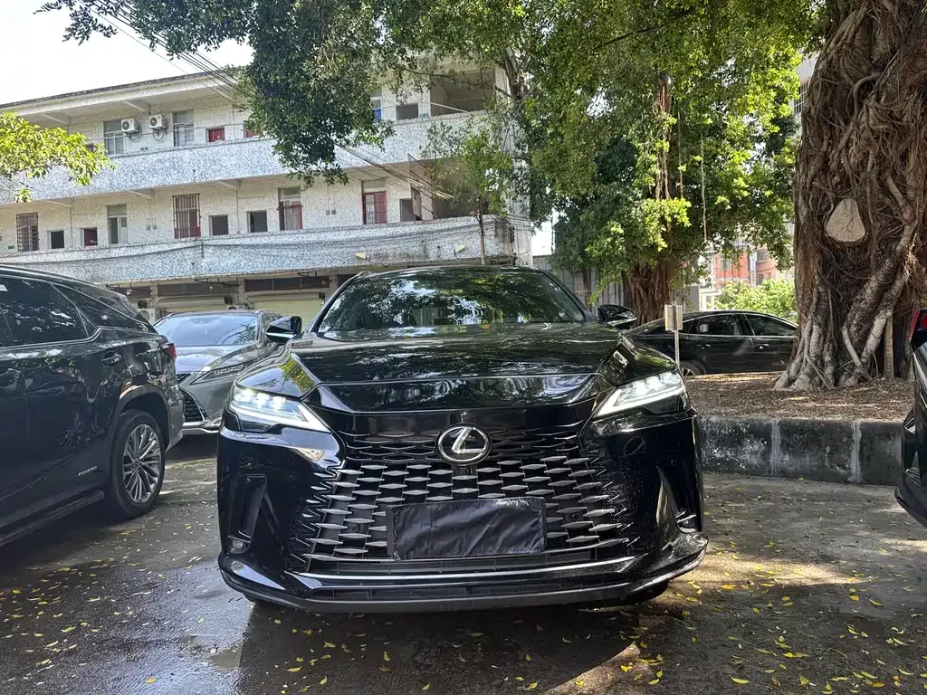 Lexus RX 2024 из CN, фото 3