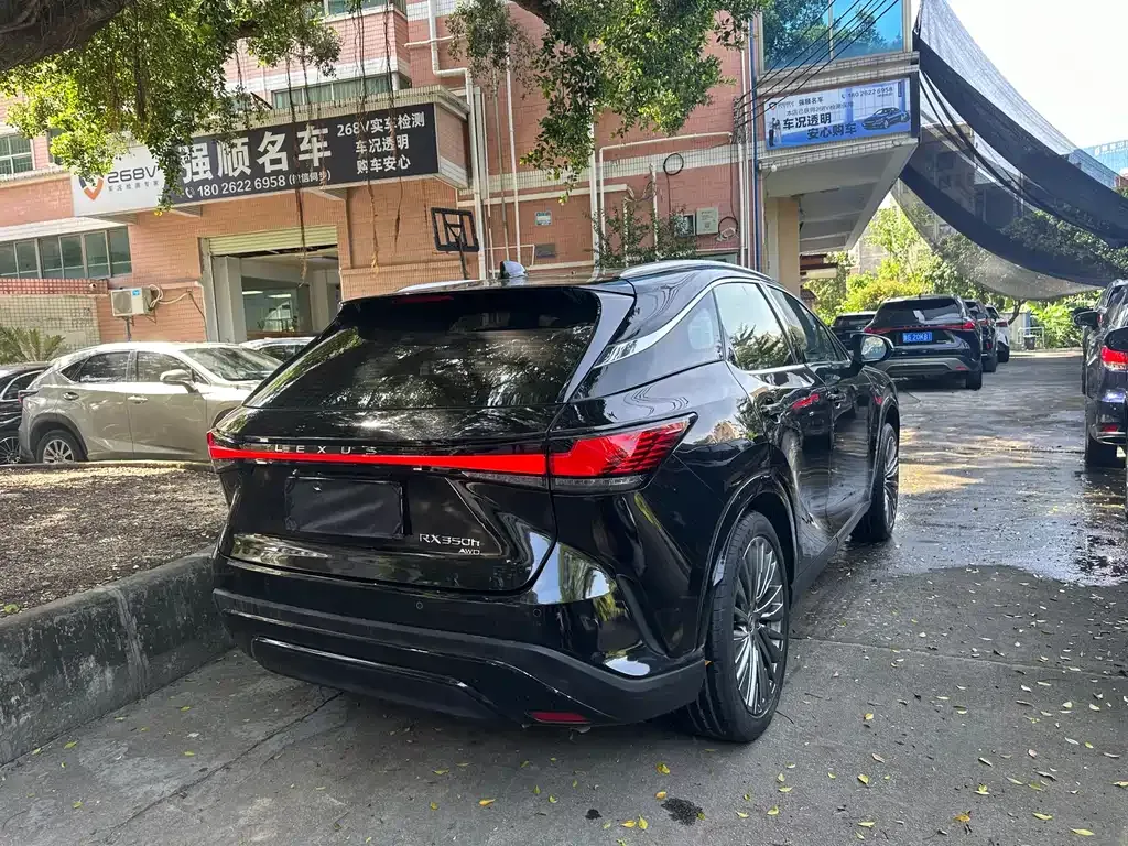 Lexus RX 2024 из CN, фото 9