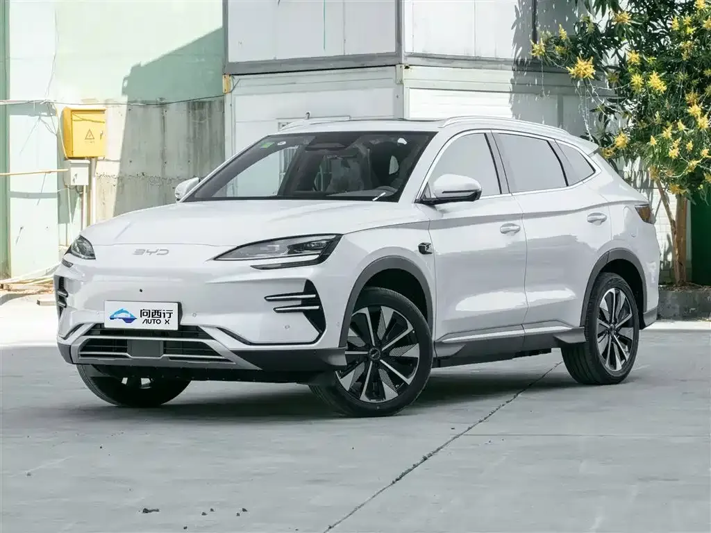 BYD PLUS New Energy 2025 из CN, фото 1