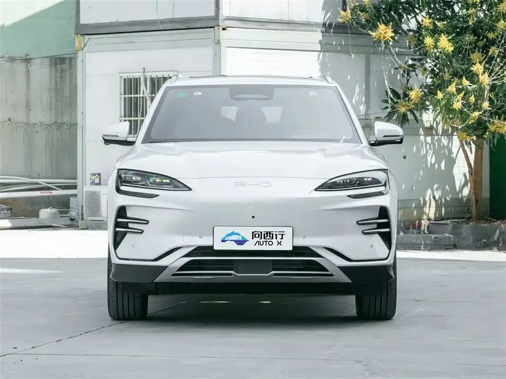 BYD PLUS New Energy 2025 из CN, фото 2