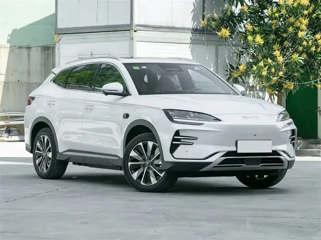 BYD PLUS New Energy 2025 из CN, фото 3