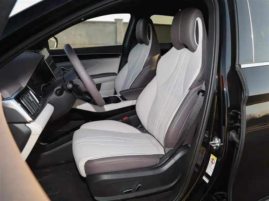 BYD PLUS New Energy 2025 из CN, фото 5