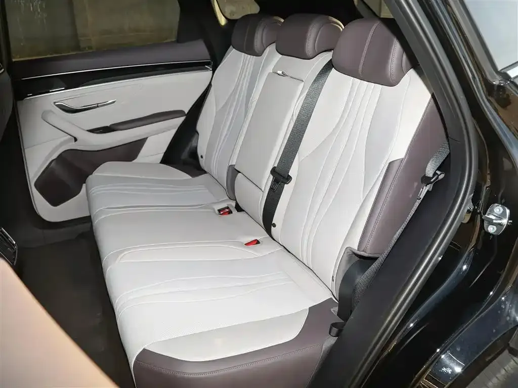 BYD PLUS New Energy 2025 из CN, фото 6
