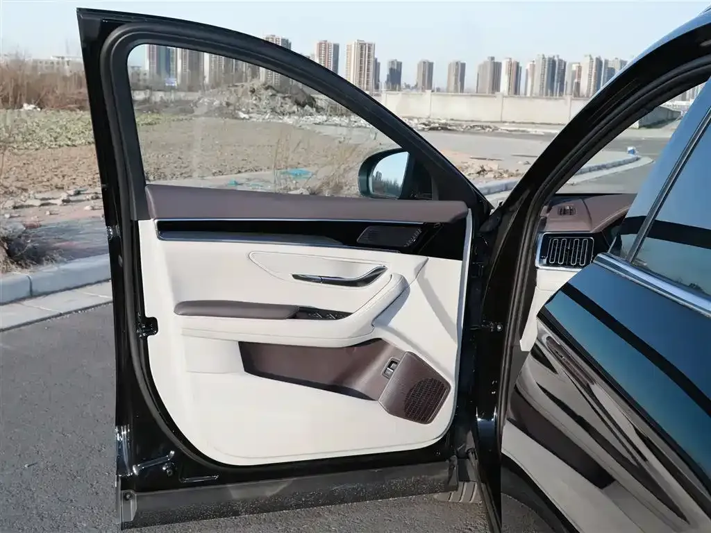 BYD PLUS New Energy 2025 из CN, фото 7