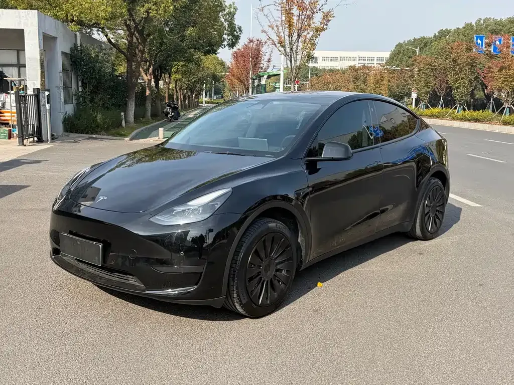 Tesla Model Y 2023 из CN, фото 1