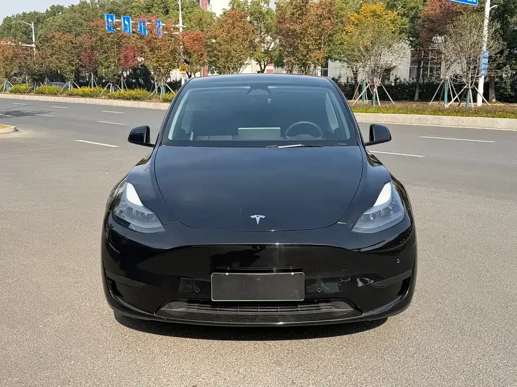 Tesla Model Y 2023 из CN, фото 2