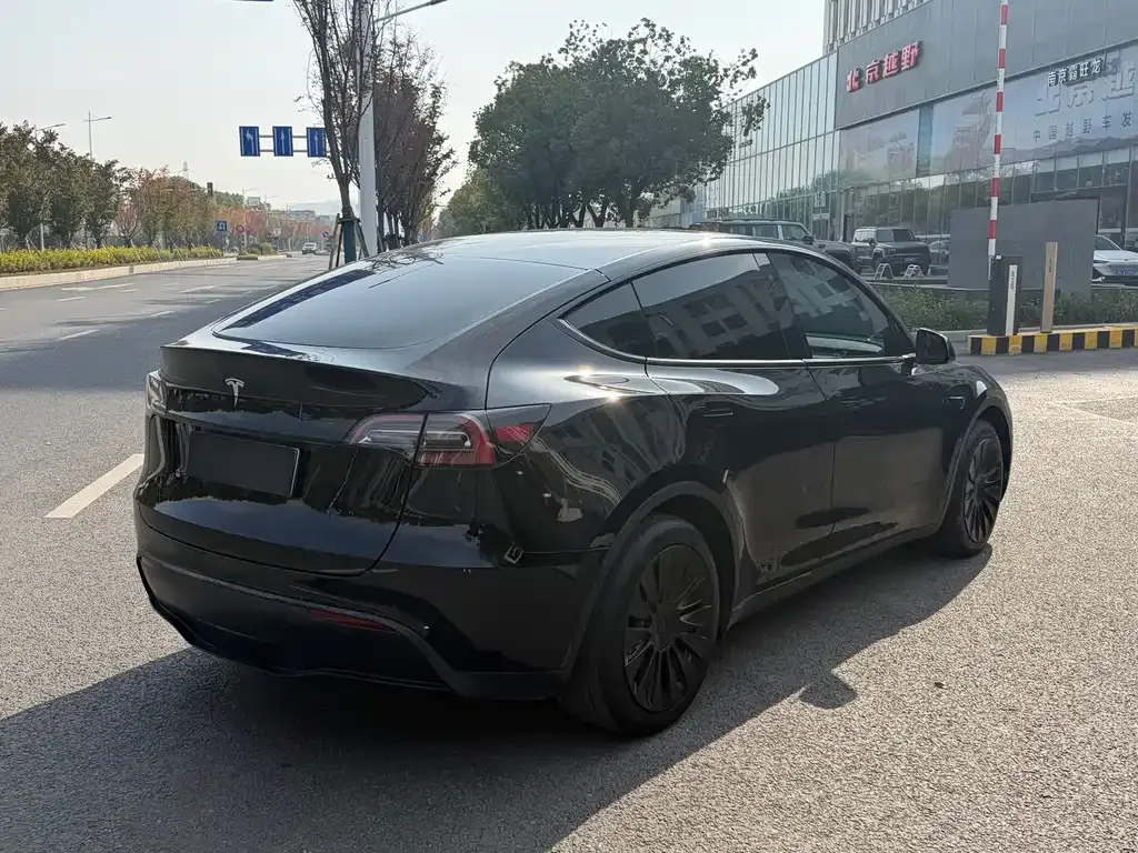 Tesla Model Y 2023 из CN, фото 5