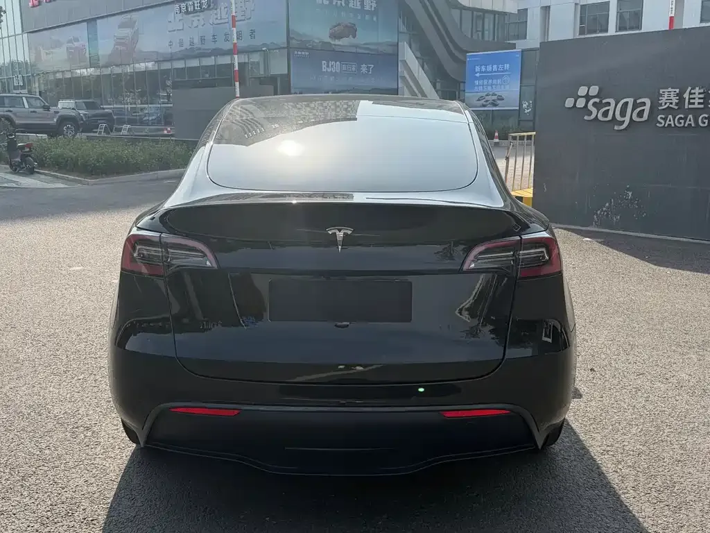 Tesla Model Y 2023 из CN, фото 6