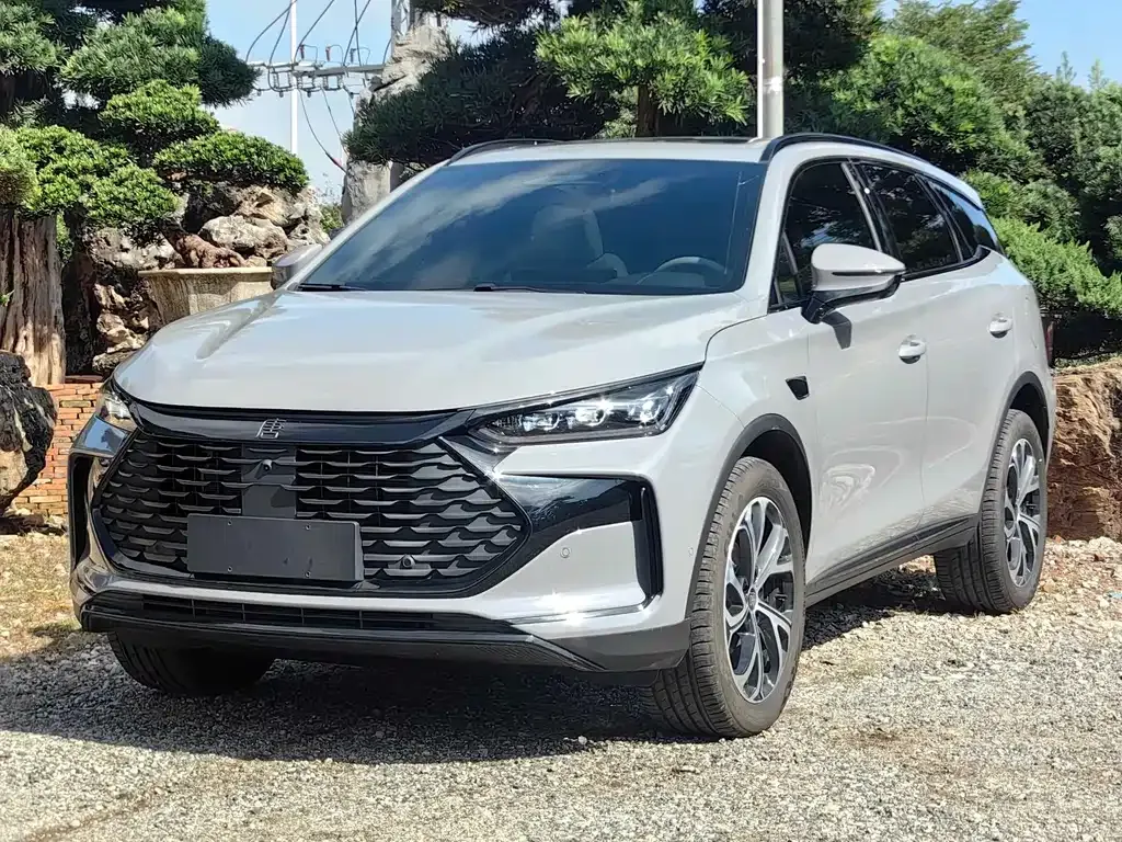 BYD Tang New Energy 2025 из CN, фото 1