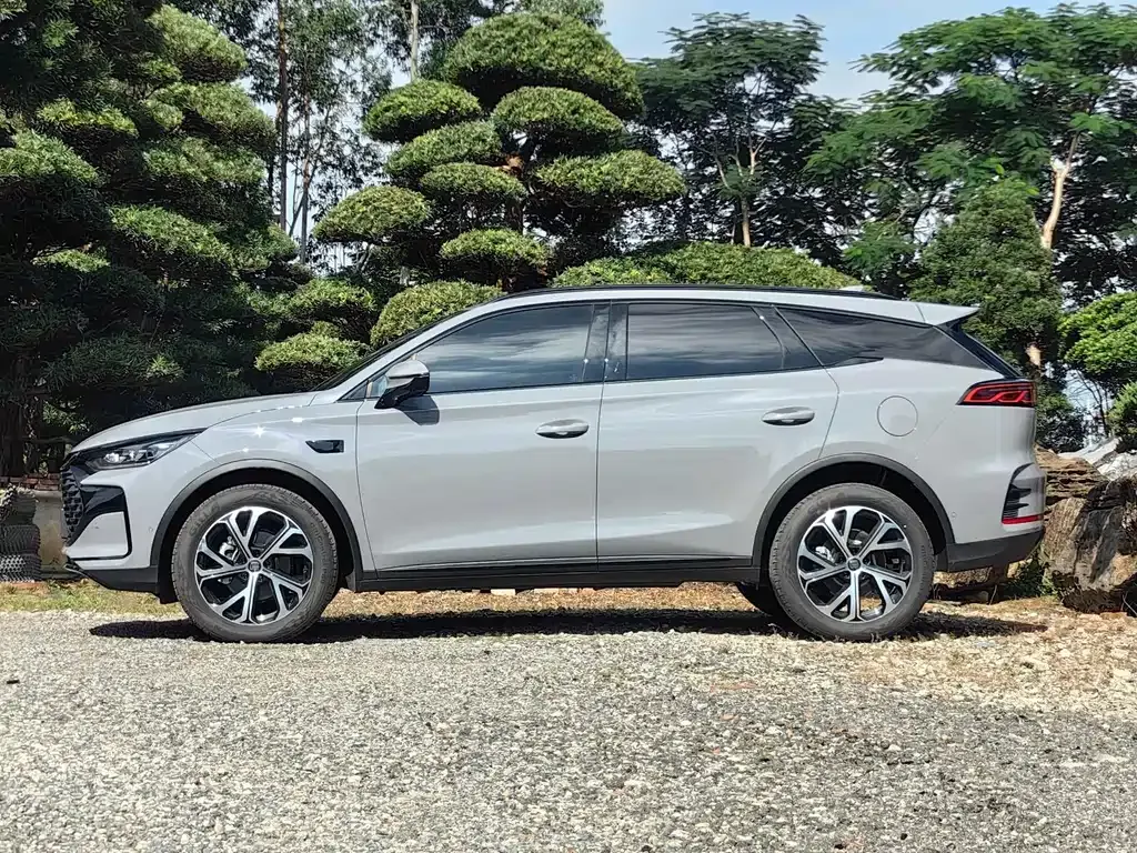 BYD Tang New Energy 2025 из CN, фото 10