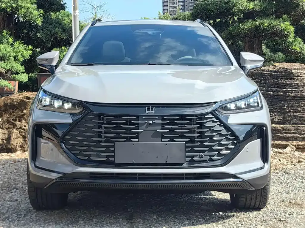 BYD Tang New Energy 2025 из CN, фото 2