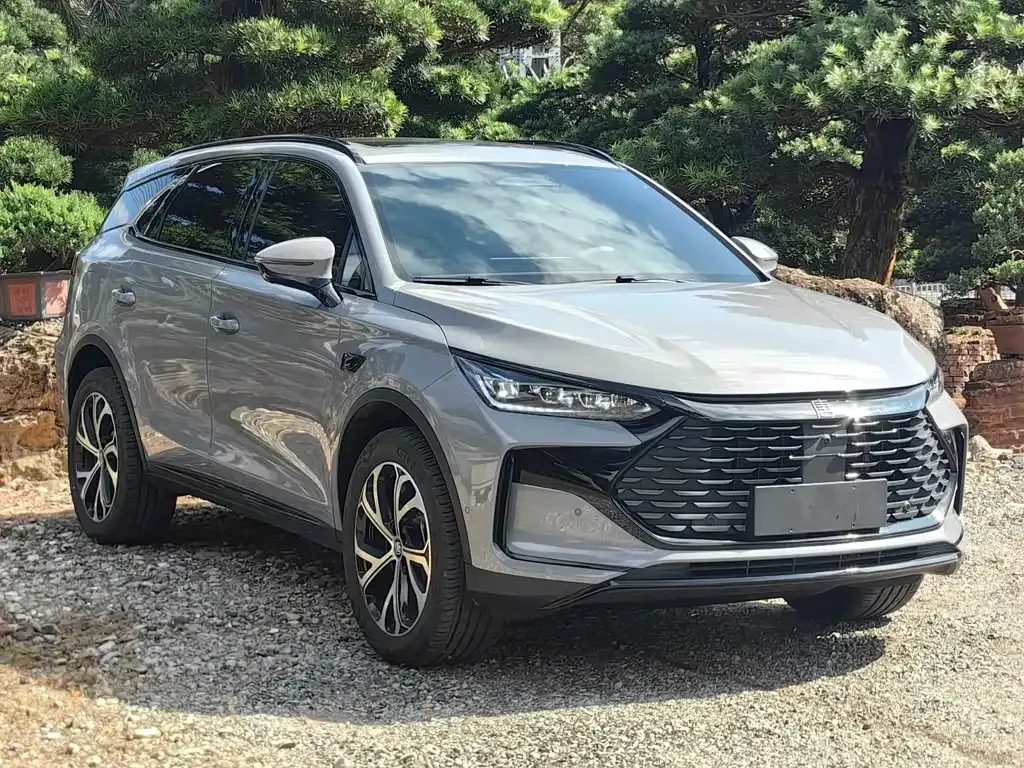 BYD Tang New Energy 2025 из CN, фото 3