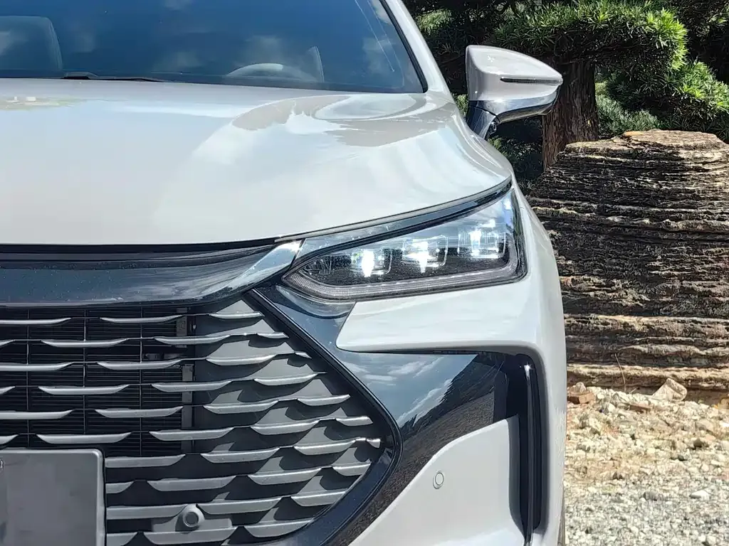 BYD Tang New Energy 2025 из CN, фото 4