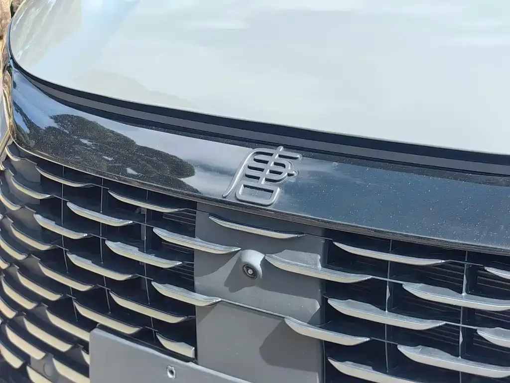 BYD Tang New Energy 2025 из CN, фото 5