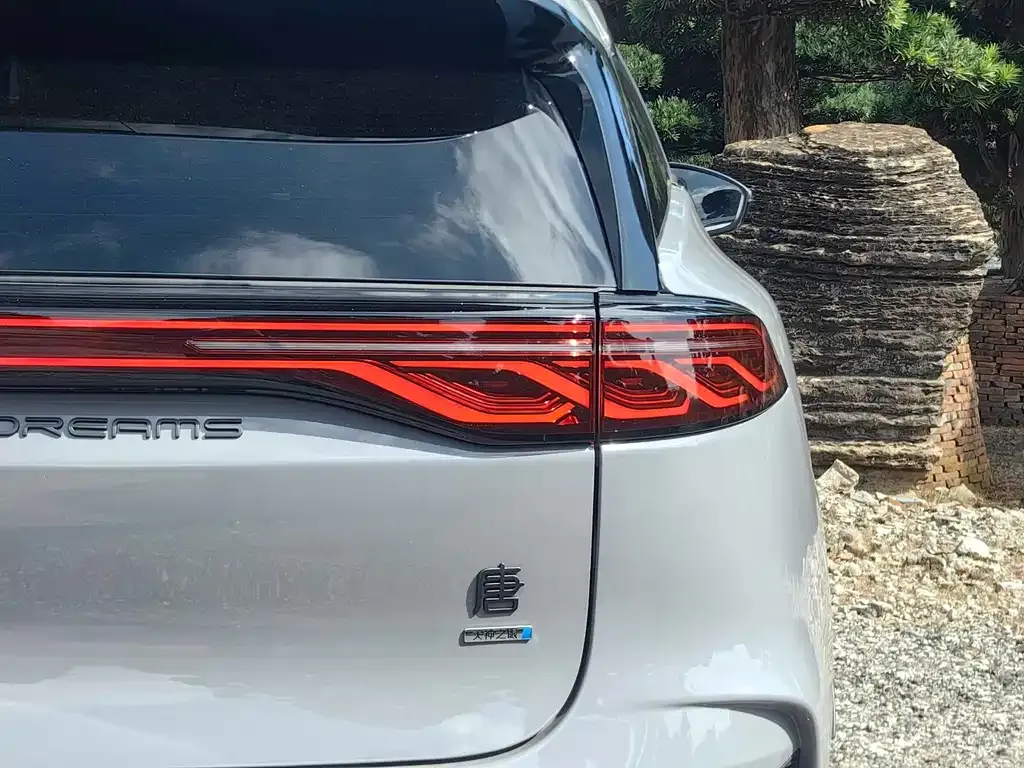 BYD Tang New Energy 2025 из CN, фото 9