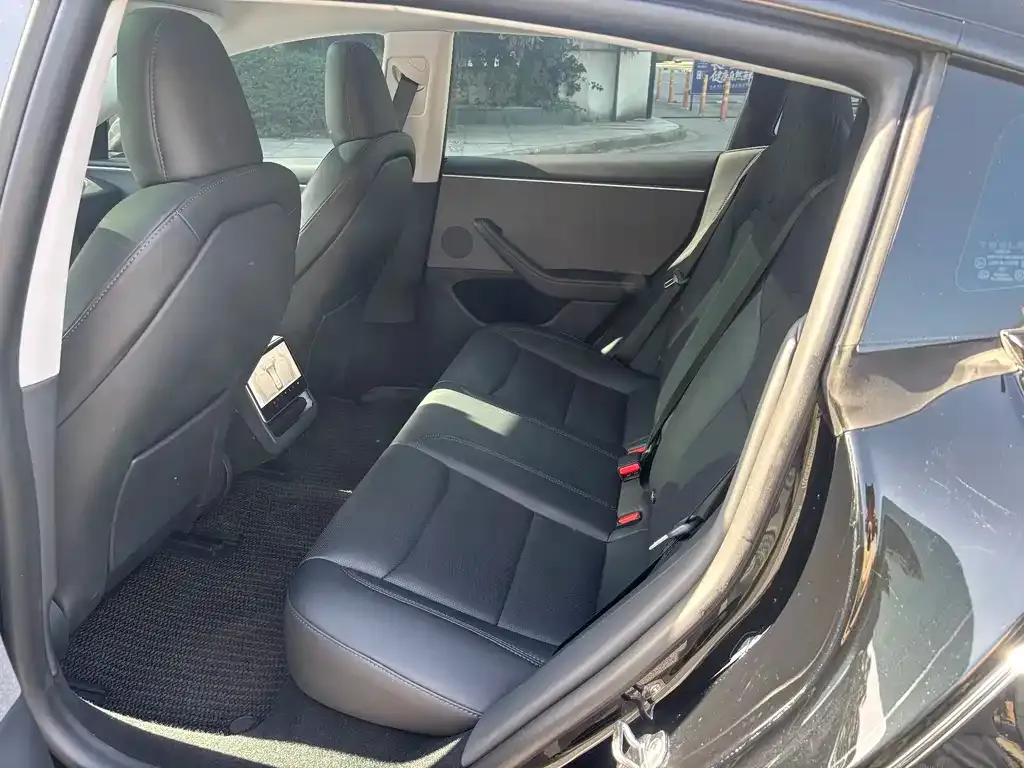 Tesla Model 3 2024 из CN, фото 6