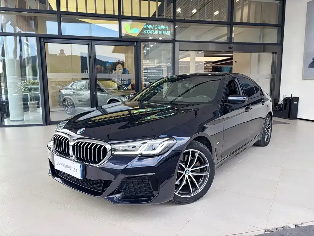 BMW 5 Series (Import) 2021 из CN, фото 1