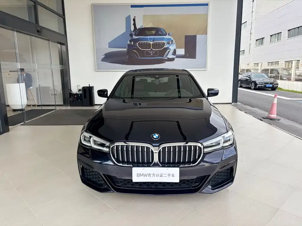 BMW 5 Series (Import) 2021 из CN, фото 3