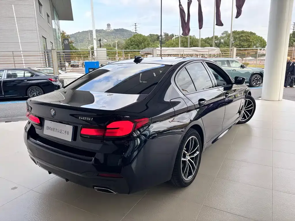 BMW 5 Series (Import) 2021 из CN, фото 4