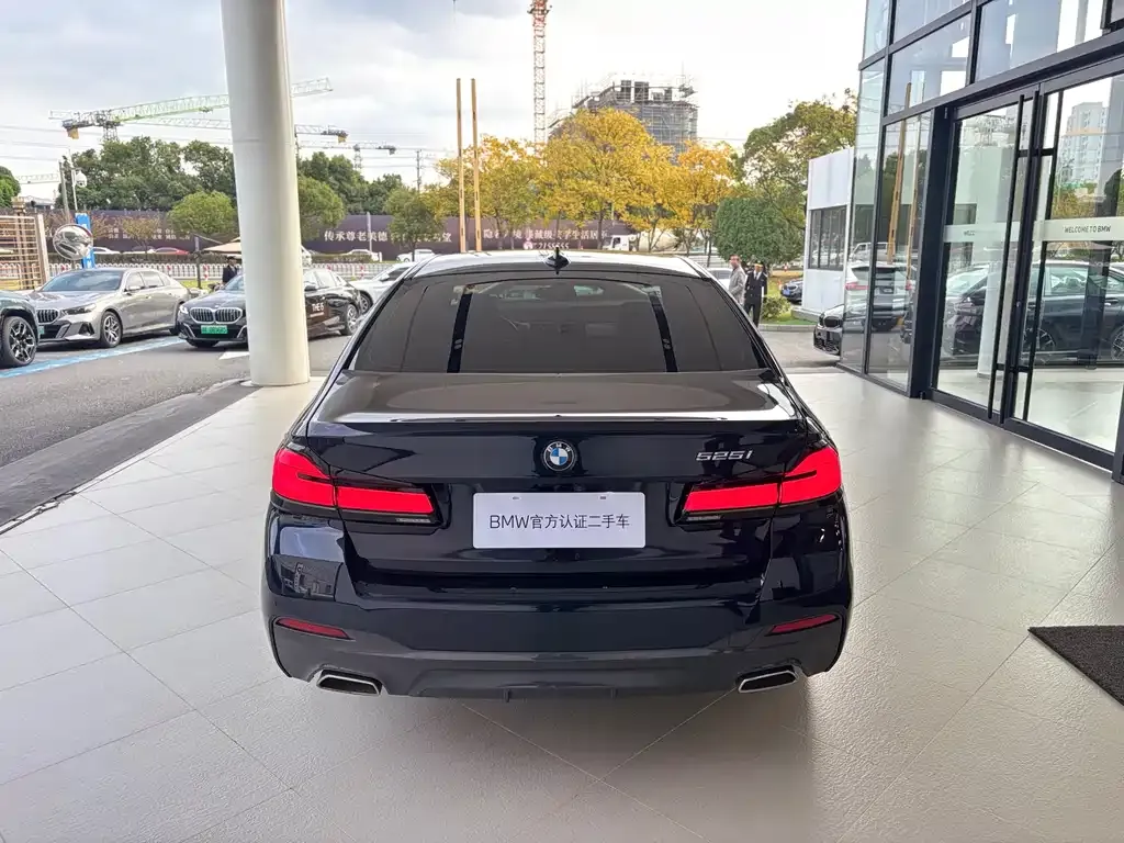 BMW 5 Series (Import) 2021 из CN, фото 5