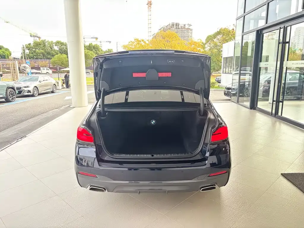 BMW 5 Series (Import) 2021 из CN, фото 6