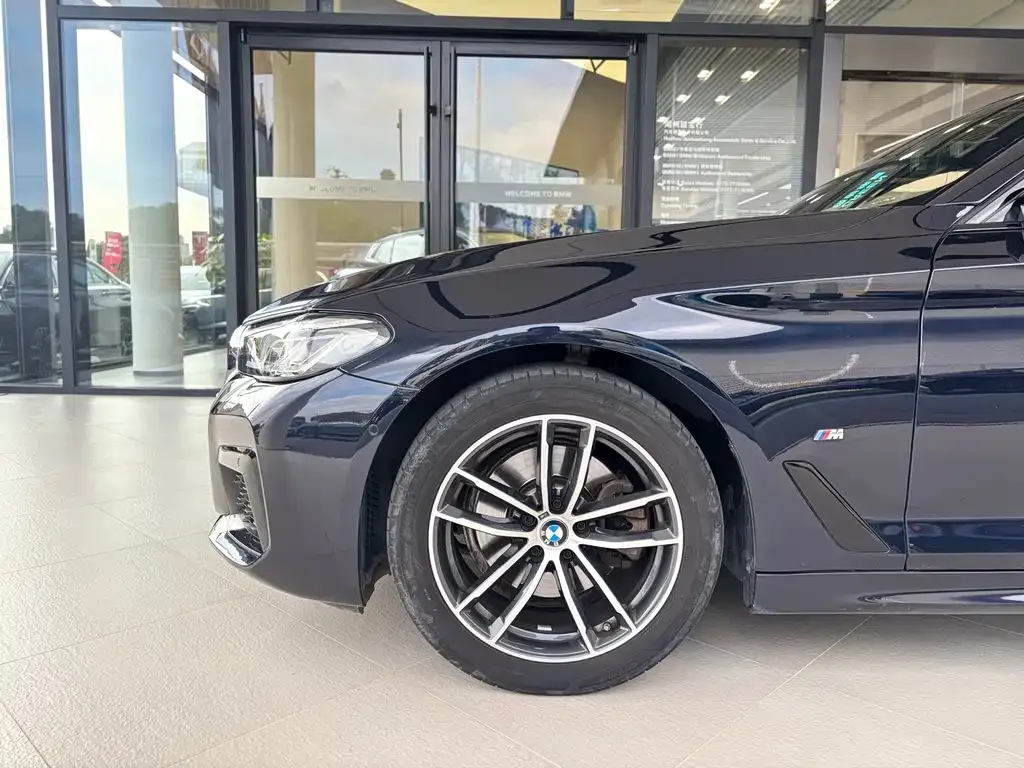 BMW 5 Series (Import) 2021 из CN, фото 7