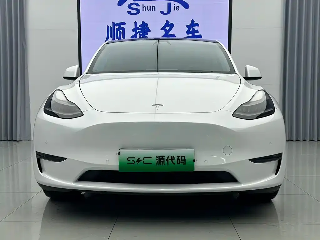 Tesla Model Y — фото 1