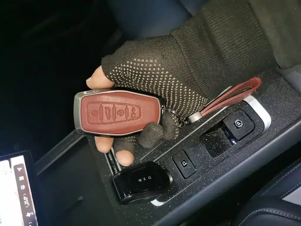 Geely Boyue L 2024 из CN, фото 9