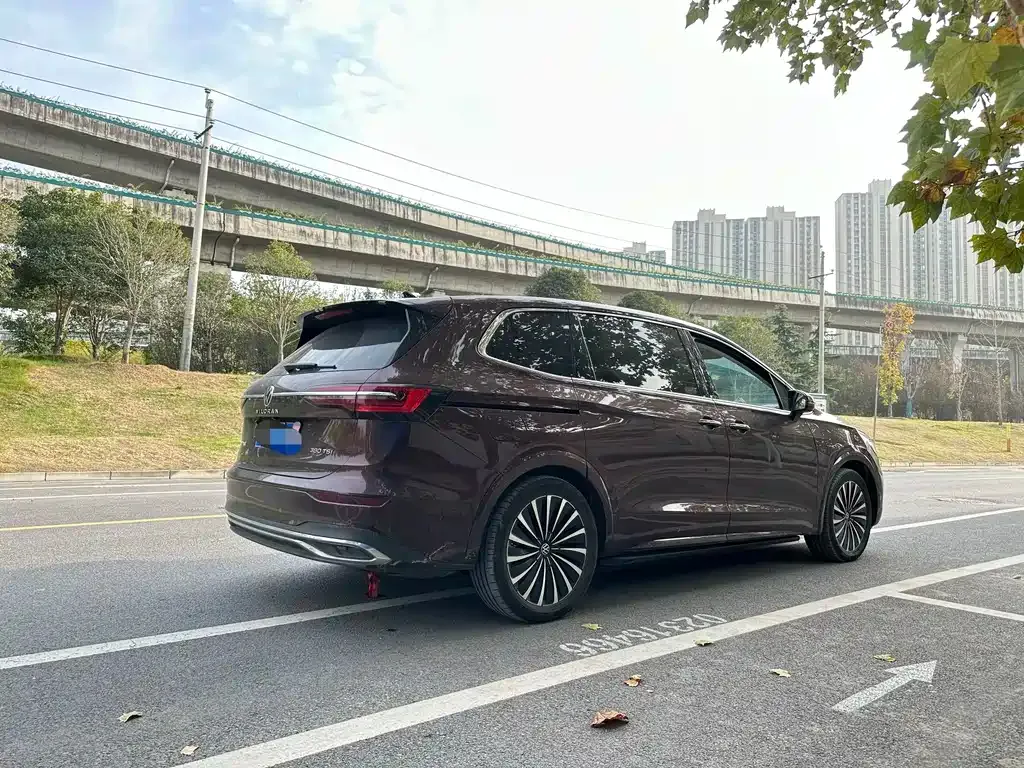 Volkswagen Viloran 2023 из CN, фото 3