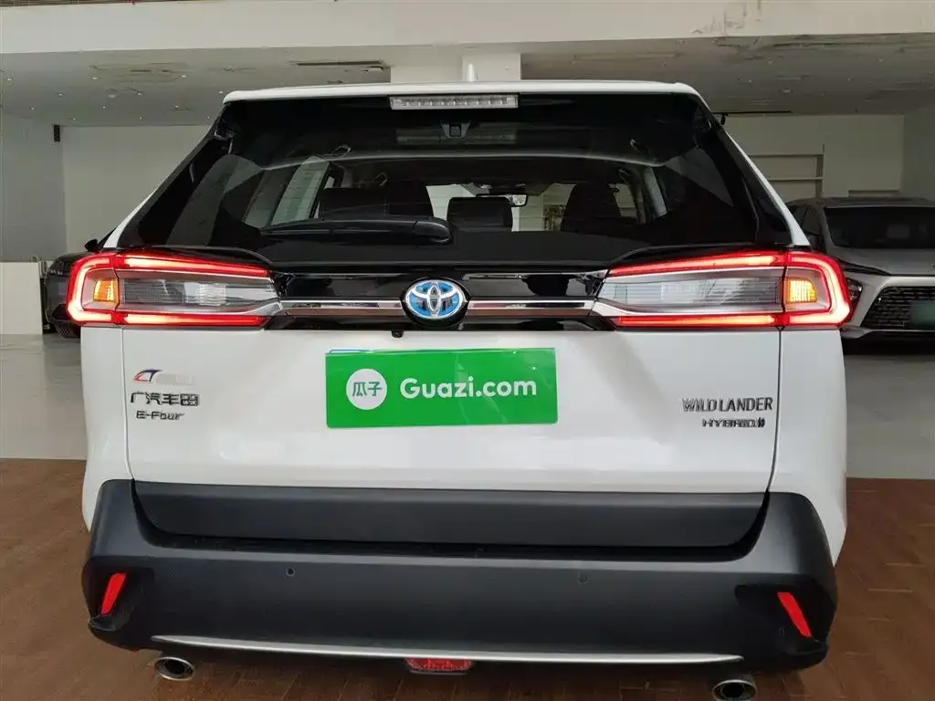 [object Object] Wildlander 2023 из CN, фото 6