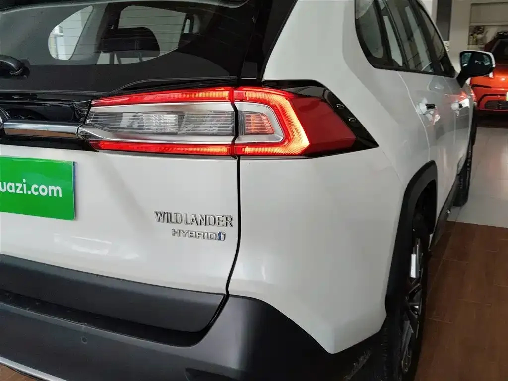 [object Object] Wildlander 2023 из CN, фото 8