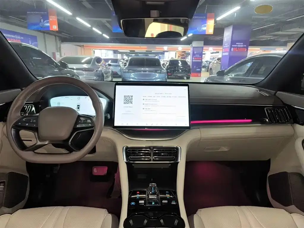 BYD PLUS New Energy 2025 из CN, фото 10