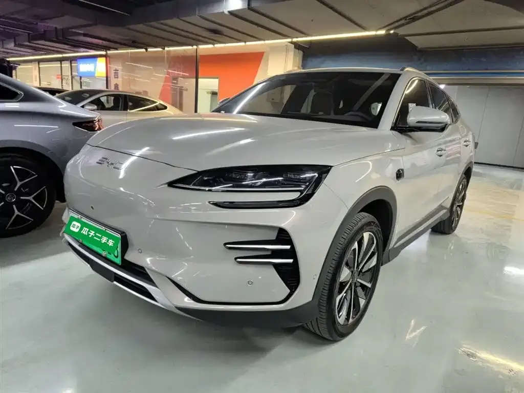 BYD PLUS New Energy 2025 из CN, фото 2