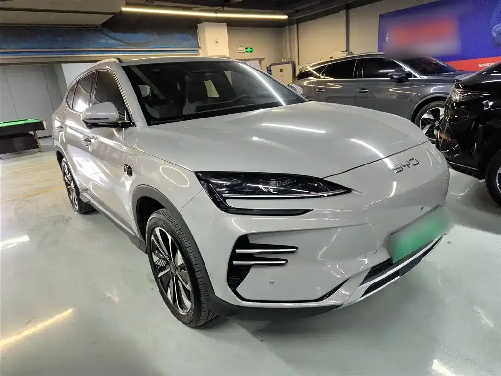 BYD PLUS New Energy 2025 из CN, фото 4