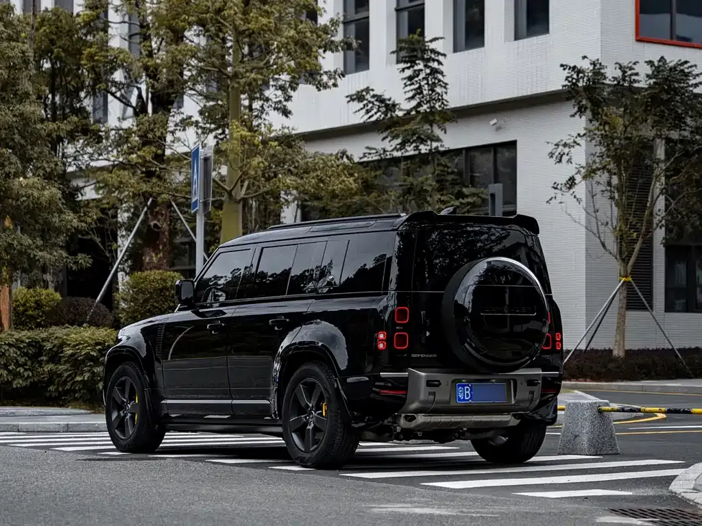 Land Rover Defender 2023 из CN, фото 4