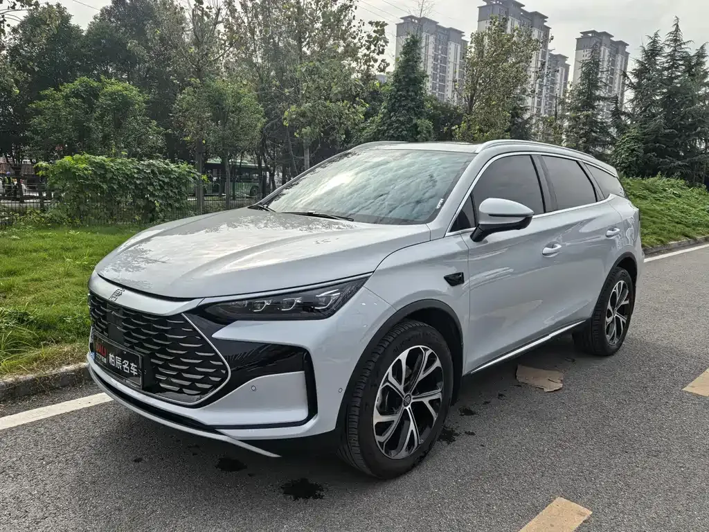 BYD Tang New Energy — фото 1