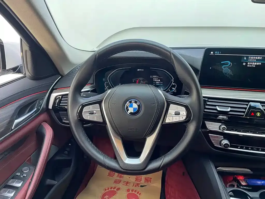 BMW 5 Series New Energy 2022 из CN, фото 10
