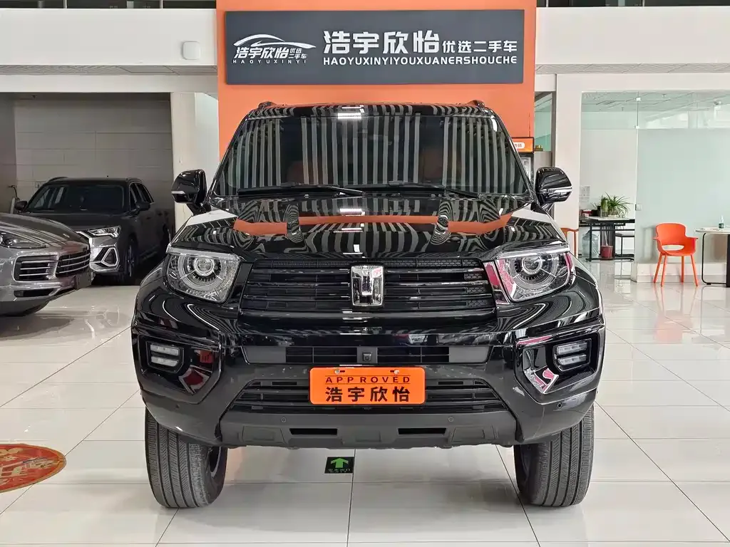 Tank 700 New Energy 2025 из CN, фото 2