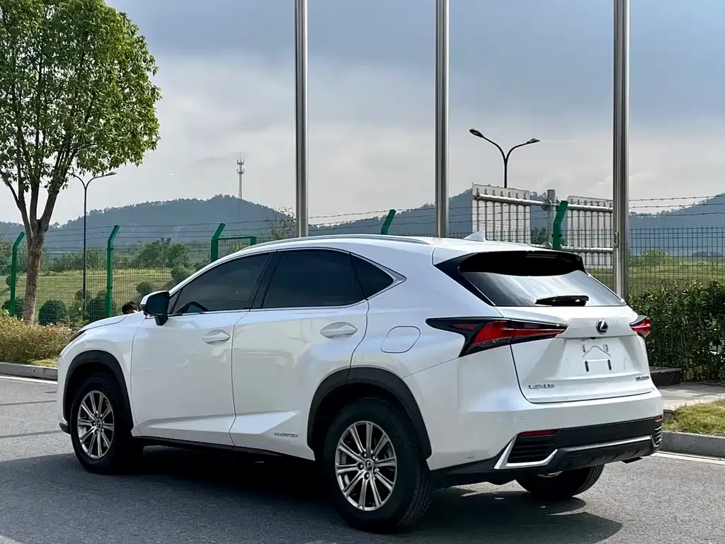 Lexus NX 2021 из CN, фото 10
