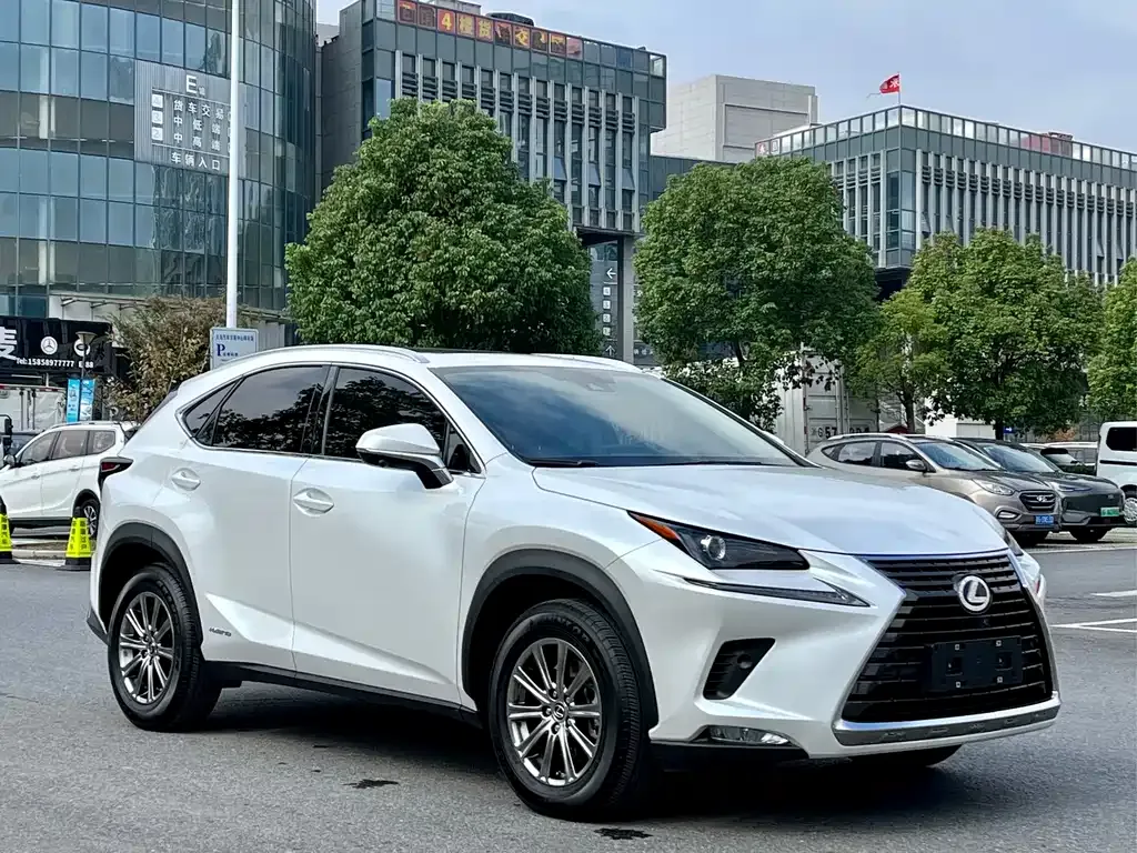 Lexus NX 2021 из CN, фото 3