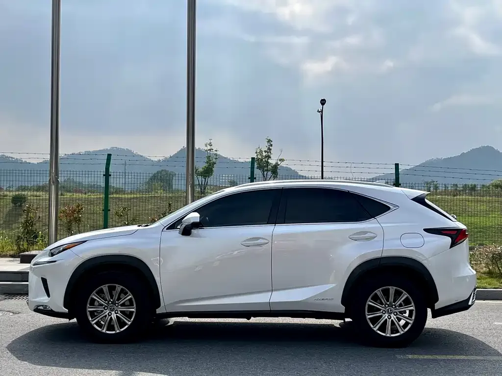 Lexus NX 2021 из CN, фото 9