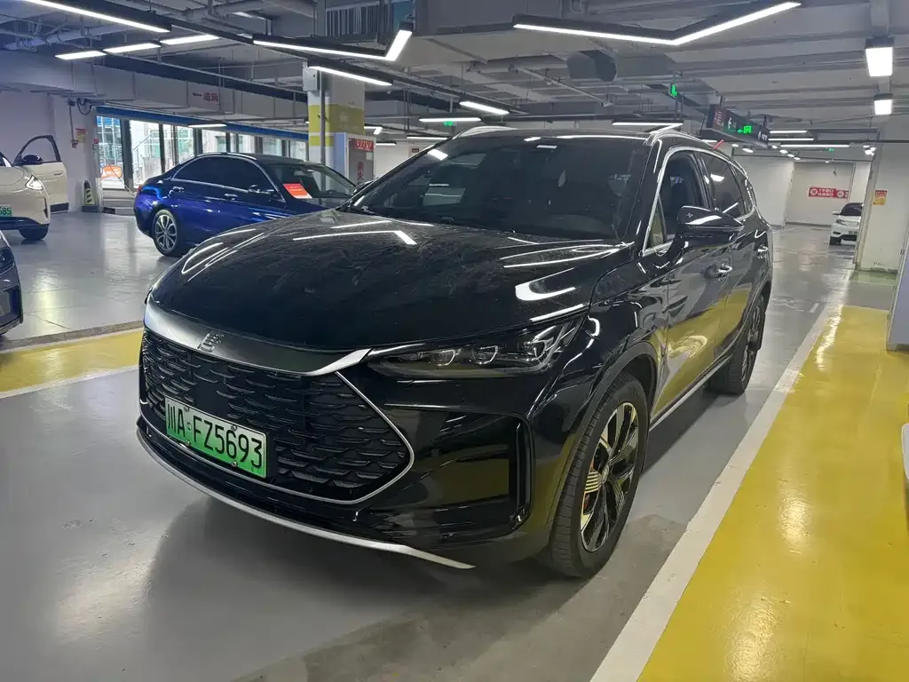 BYD Tang New Energy 2024 из CN, фото 1