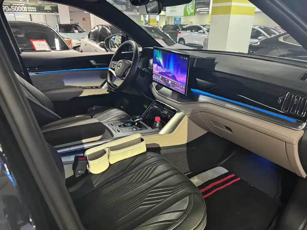 BYD Tang New Energy 2024 из CN, фото 10