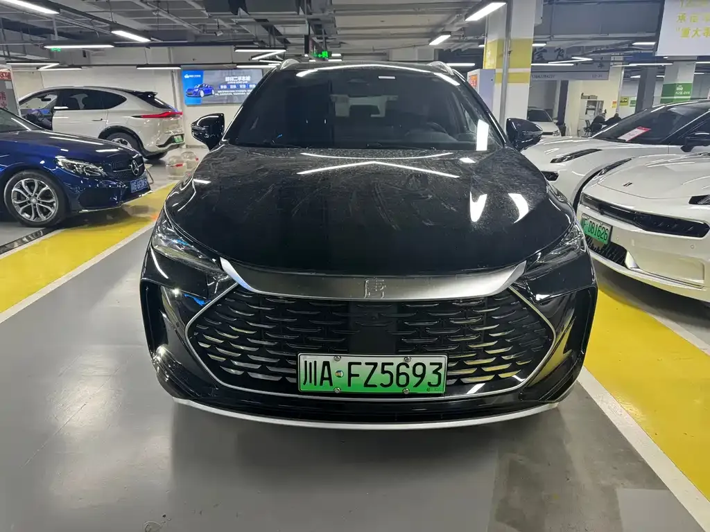 BYD Tang New Energy 2024 из CN, фото 2