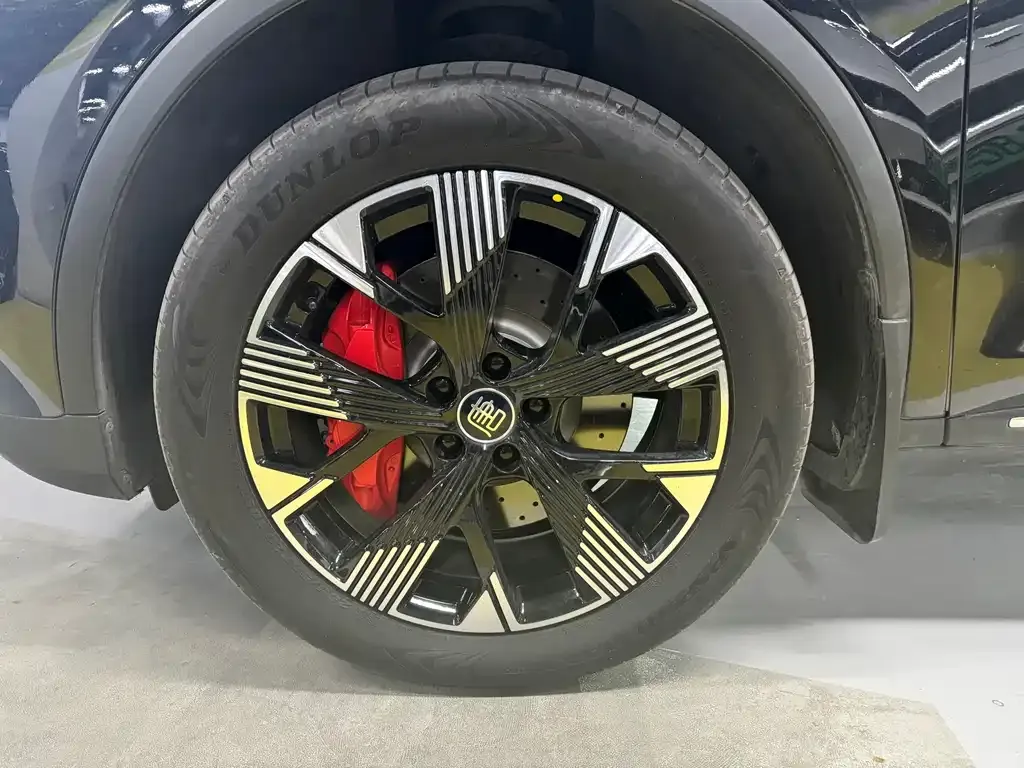 BYD Tang New Energy 2024 из CN, фото 4